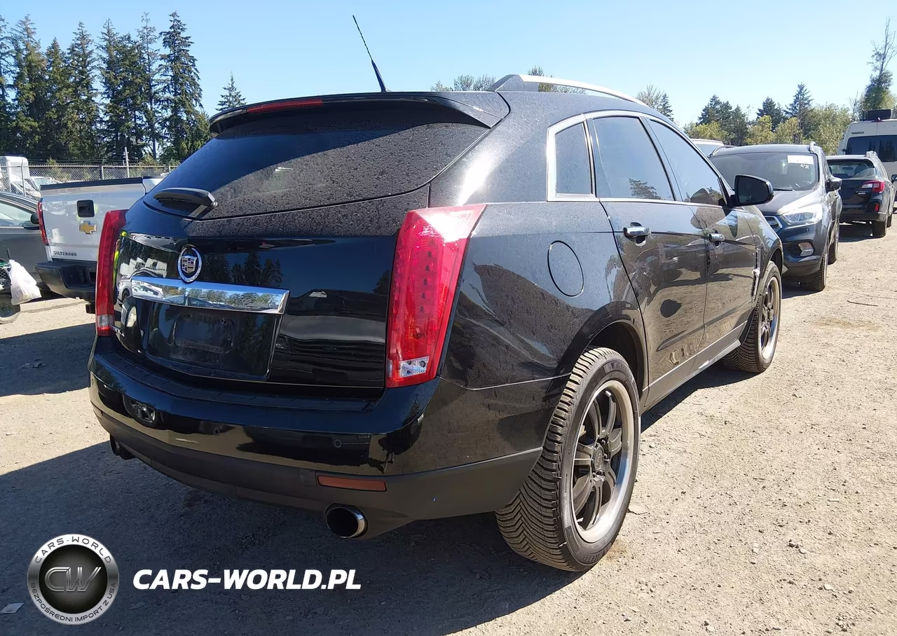 2010 Cadillac Srx Performance Collection VIN:3GYFNEEY9AS505045 - 4