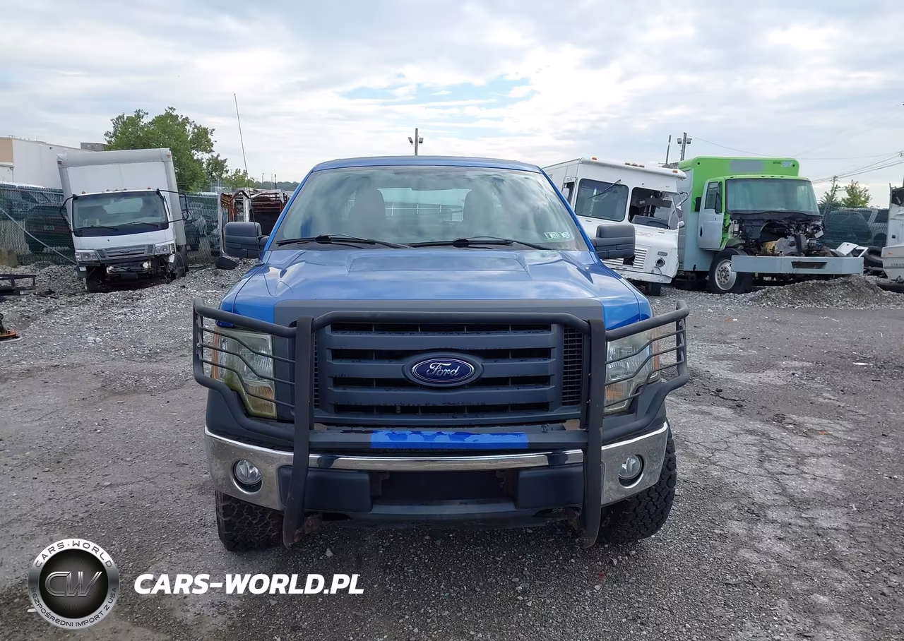 2010 Ford F-150 Xl-Xlt VIN:1FTEW1E83AFC42739 - 12