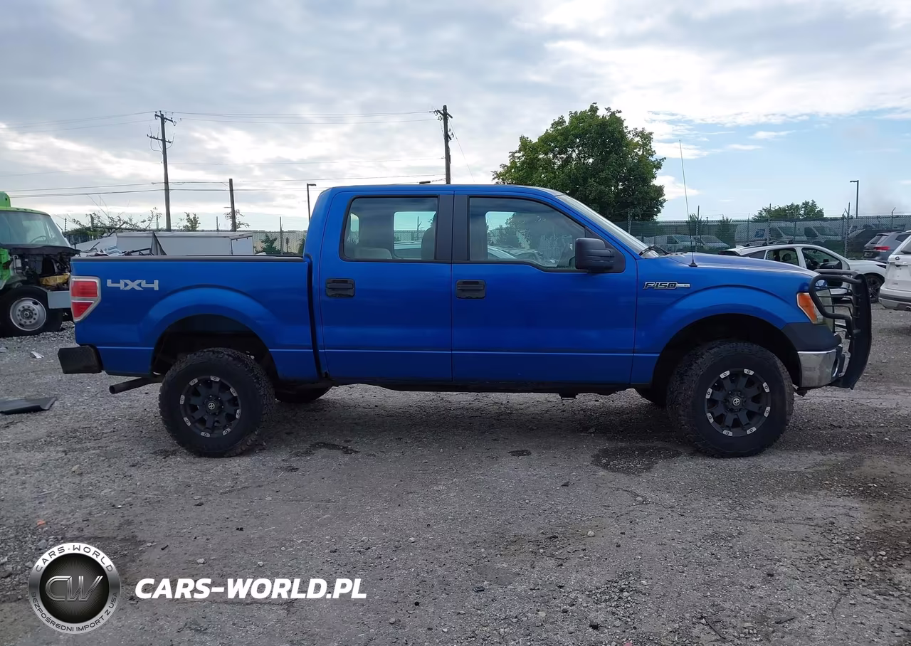 2010 Ford F-150 Xl-Xlt VIN:1FTEW1E83AFC42739 - 13