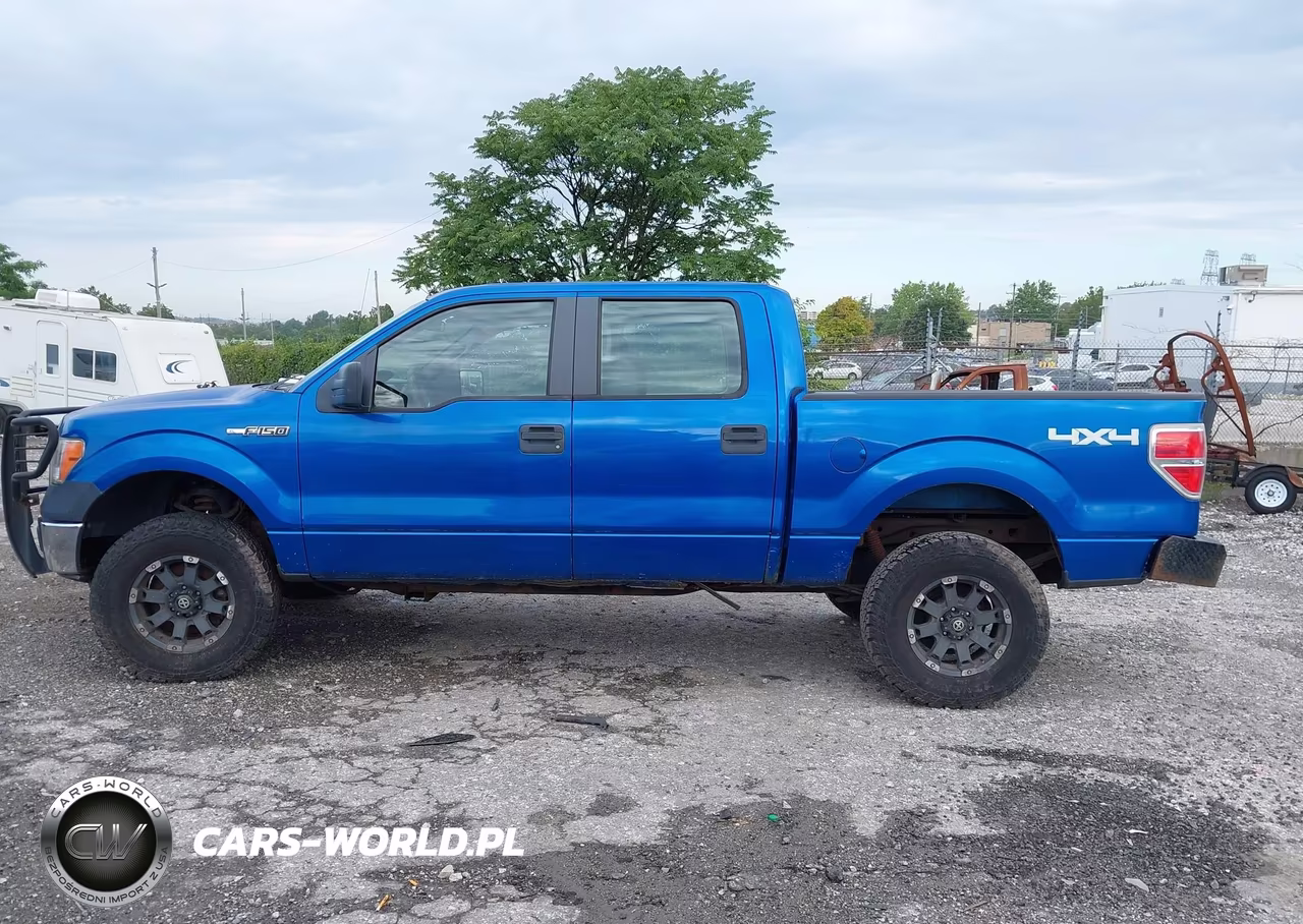 2010 Ford F-150 Xl-Xlt VIN:1FTEW1E83AFC42739 - 14
