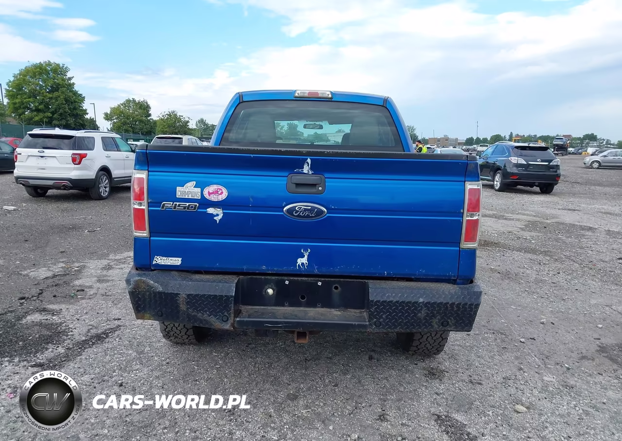 2010 Ford F-150 Xl-Xlt VIN:1FTEW1E83AFC42739 - 16