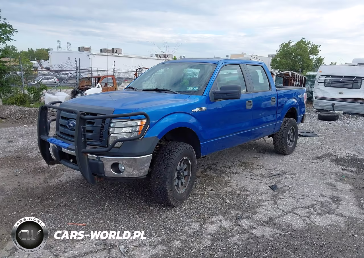 2010 Ford F-150 Xl-Xlt VIN:1FTEW1E83AFC42739 - 2