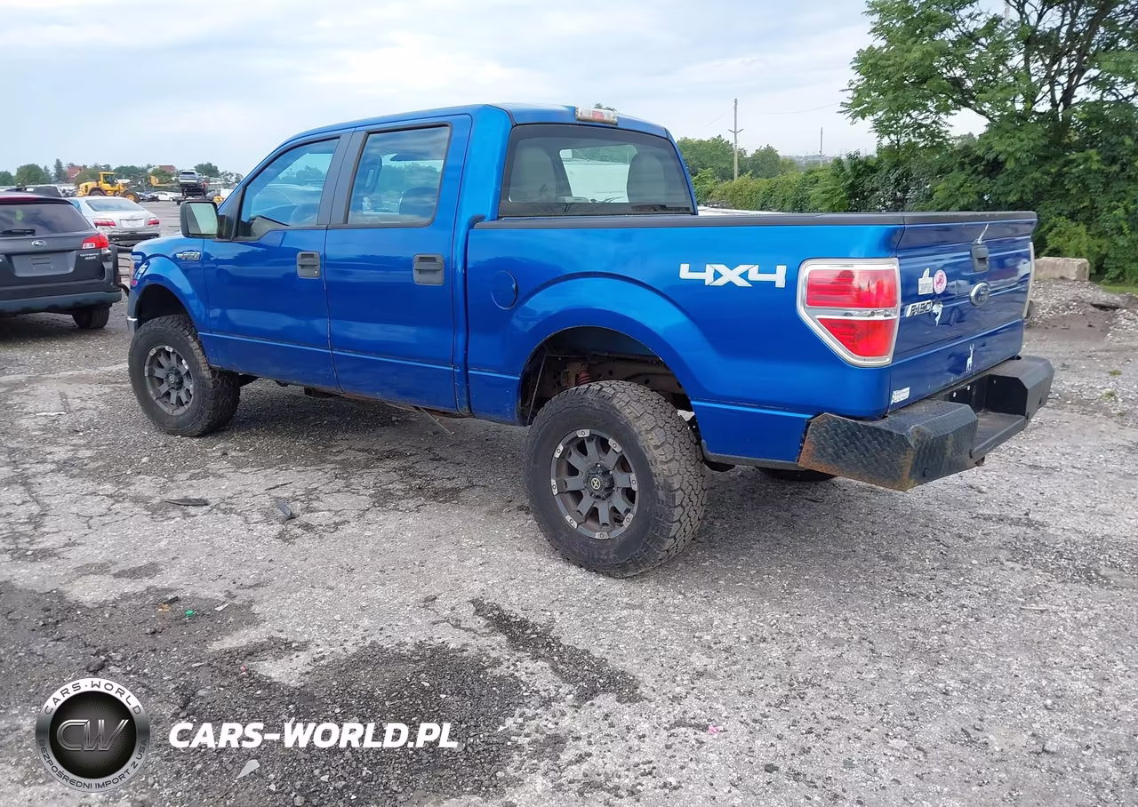 2010 Ford F-150 Xl-Xlt VIN:1FTEW1E83AFC42739 - 3