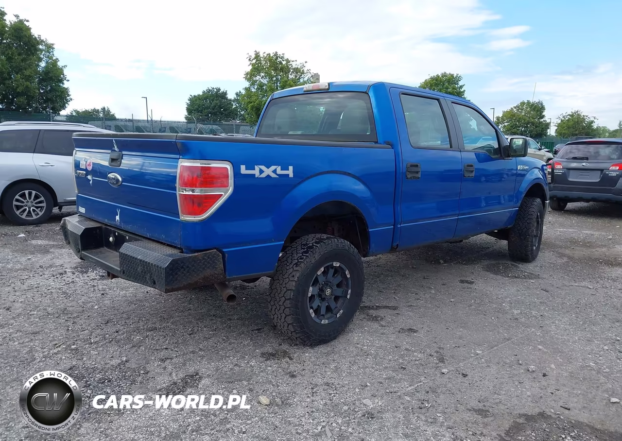 2010 Ford F-150 Xl-Xlt VIN:1FTEW1E83AFC42739 - 4
