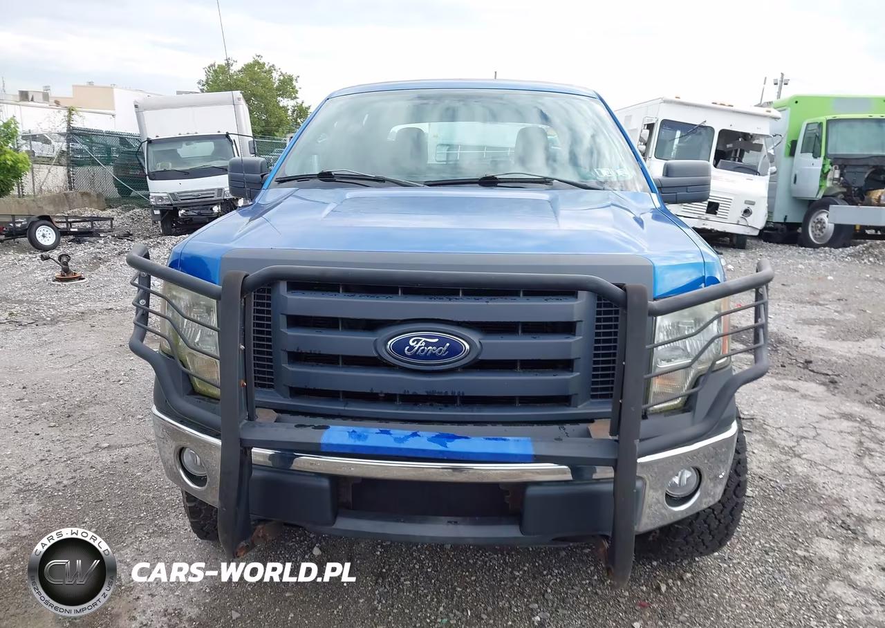 2010 Ford F-150 Xl-Xlt VIN:1FTEW1E83AFC42739 - 6