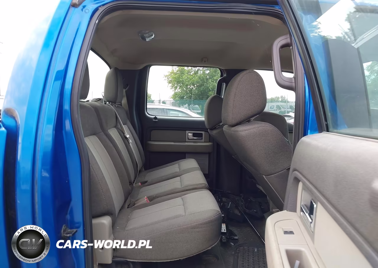 2010 Ford F-150 Xl-Xlt VIN:1FTEW1E83AFC42739 - 8