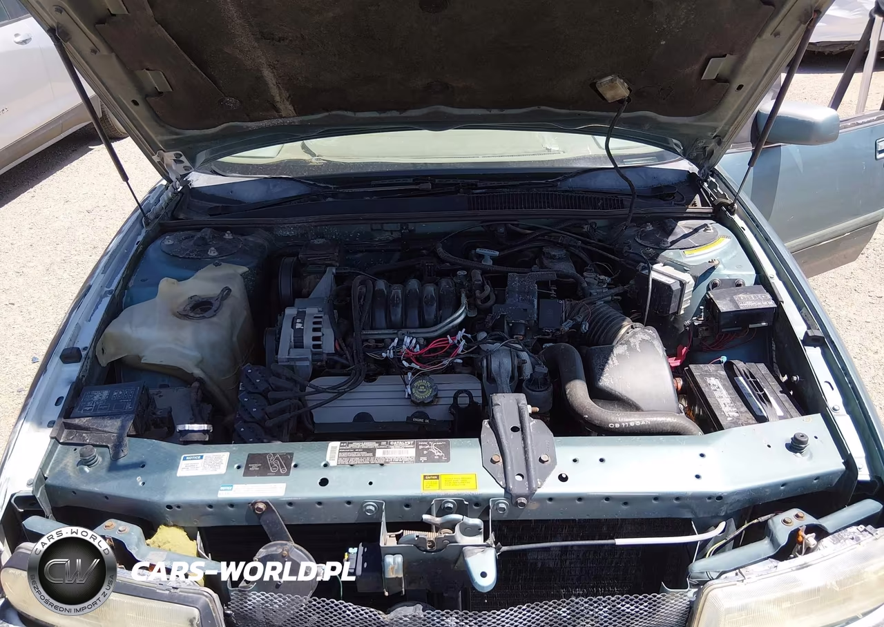 1994 Buick Regal Custom VIN:2G4WB55L6R1429919 - 10