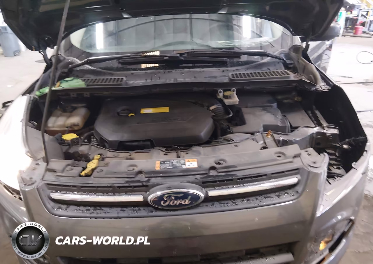 2016 Ford Escape Se VIN:1FMCU9GX5GUA21501 - 10