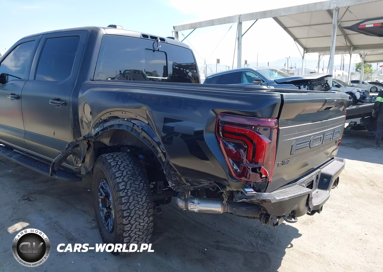 2025 Ford F-150 Raptor VIN:1FTFW1RJ0SFB98153 - 17
