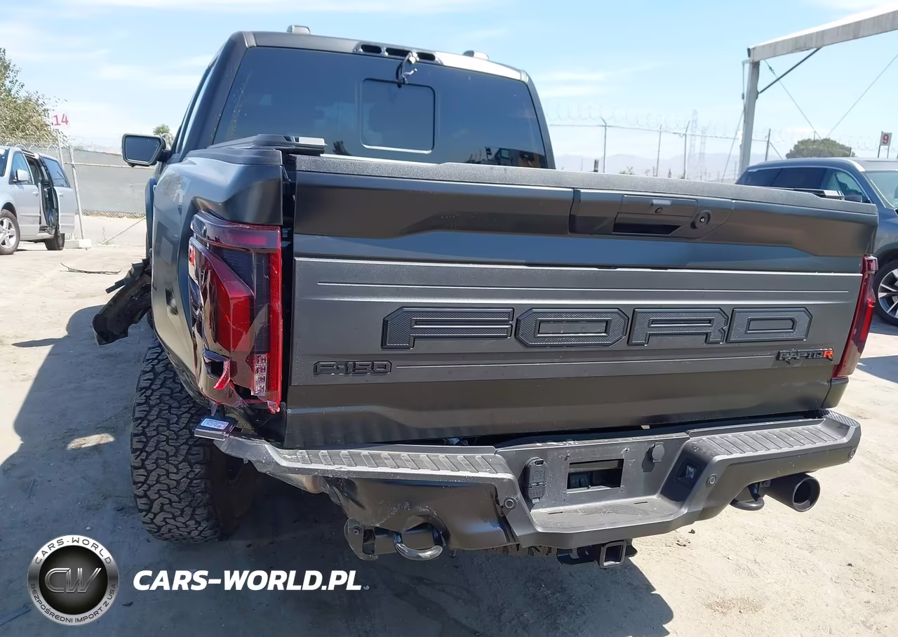 2025 Ford F-150 Raptor VIN:1FTFW1RJ0SFB98153 - 19