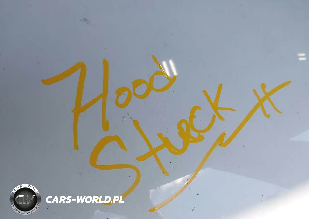 2016 Volkswagen Tiguan Se VIN:WVGBV7AX1GW561471 - 10