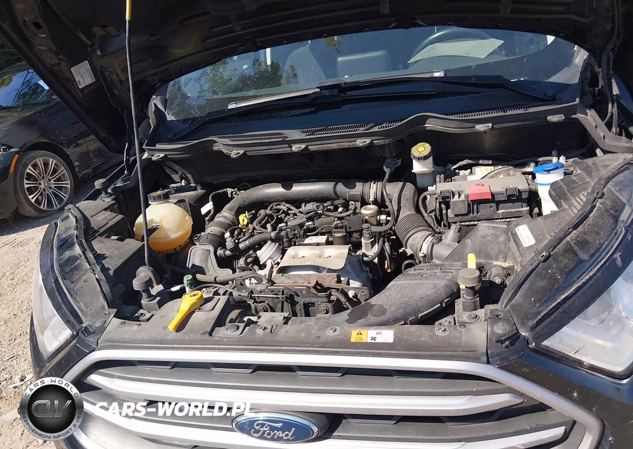 2020 Ford Ecosport Se VIN:MAJ3S2GE4LC393157 - 10