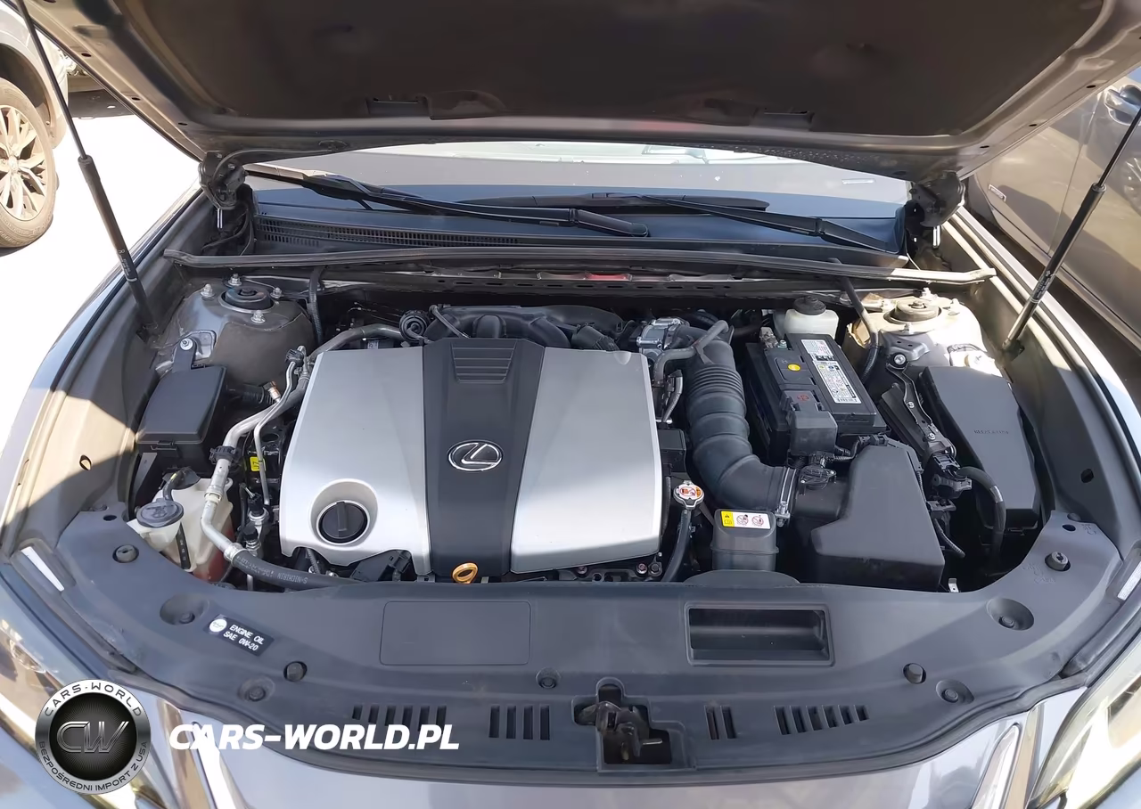 2019 Lexus Es 350 Luxury VIN:58ABZ1B10KU033736 - 10