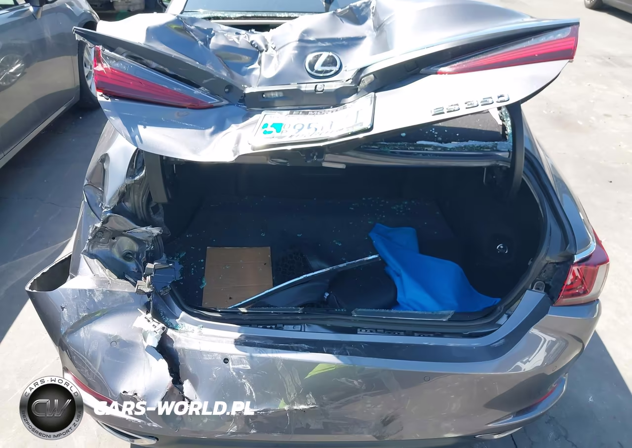 2019 Lexus Es 350 Luxury VIN:58ABZ1B10KU033736 - 12