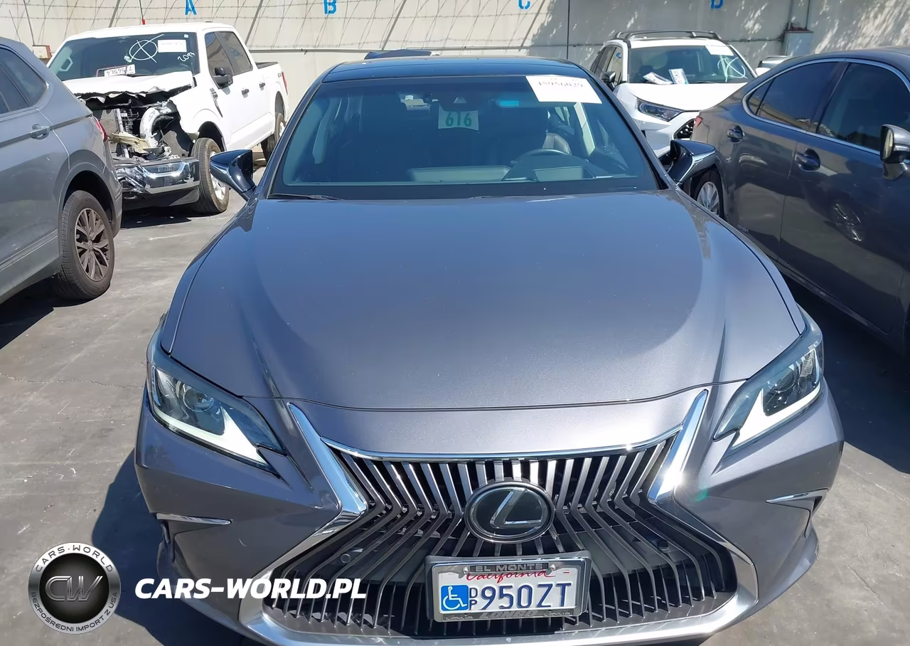 2019 Lexus Es 350 Luxury VIN:58ABZ1B10KU033736 - 13
