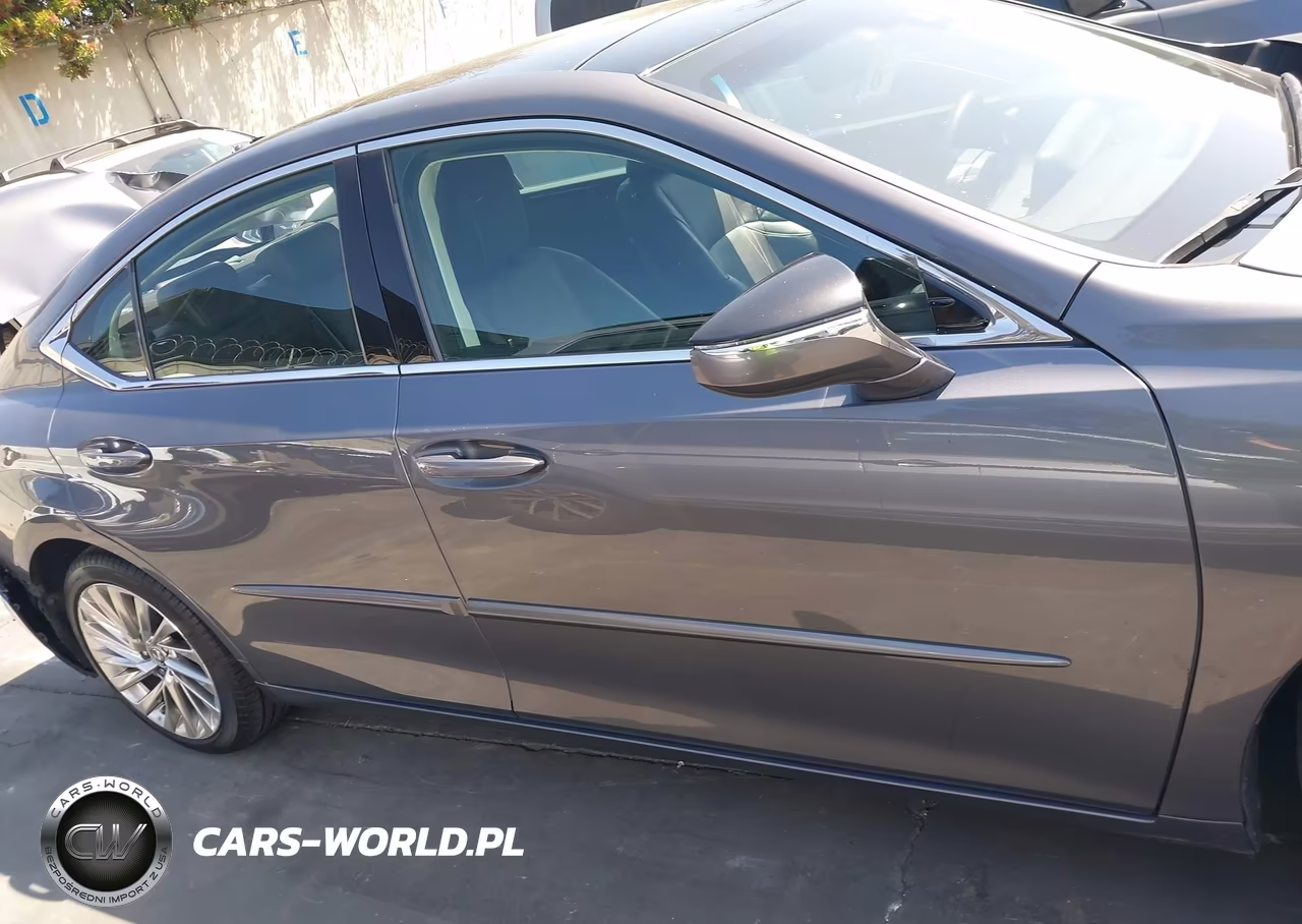 2019 Lexus Es 350 Luxury VIN:58ABZ1B10KU033736 - 14