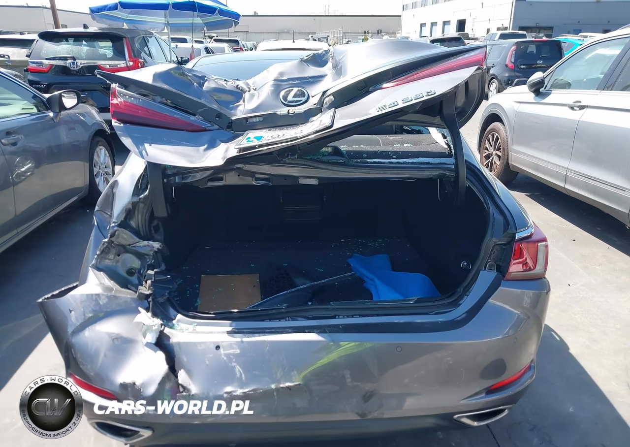2019 Lexus Es 350 Luxury VIN:58ABZ1B10KU033736 - 17