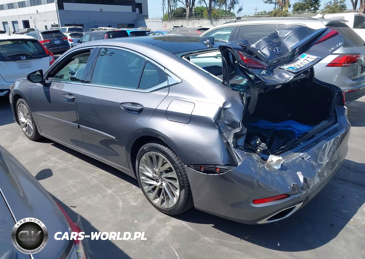2019 Lexus Es 350 Luxury VIN:58ABZ1B10KU033736 - 3