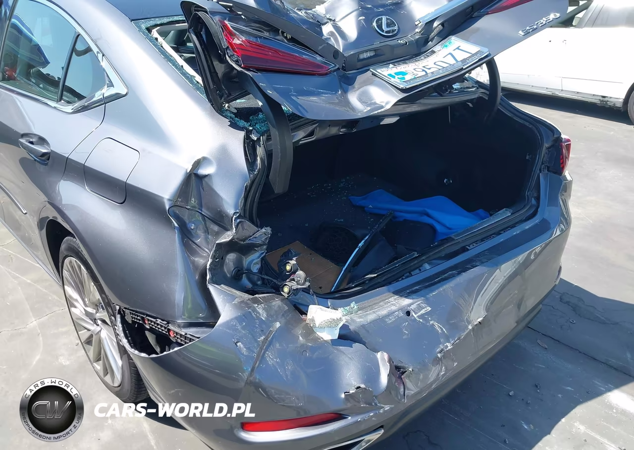 2019 Lexus Es 350 Luxury VIN:58ABZ1B10KU033736 - 6