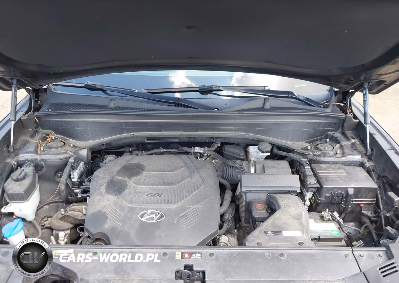2020 Hyundai Palisade Sel VIN:KM8R4DHE1LU116965 - 10