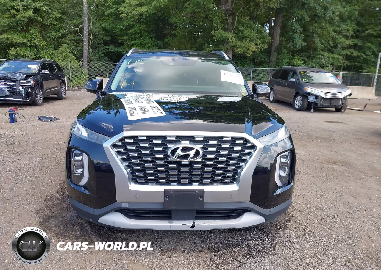 2020 Hyundai Palisade Sel VIN:KM8R4DHE1LU116965 - 12