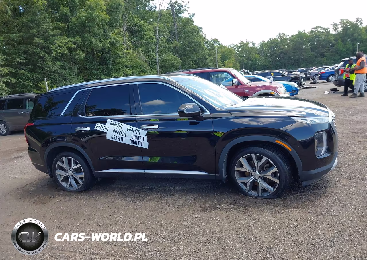 2020 Hyundai Palisade Sel VIN:KM8R4DHE1LU116965 - 13