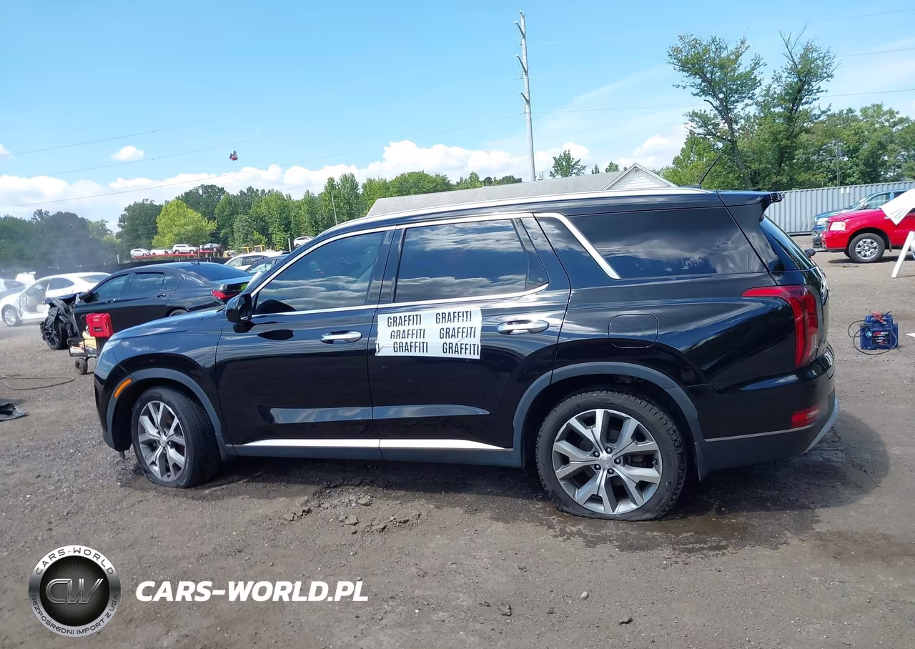 2020 Hyundai Palisade Sel VIN:KM8R4DHE1LU116965 - 14