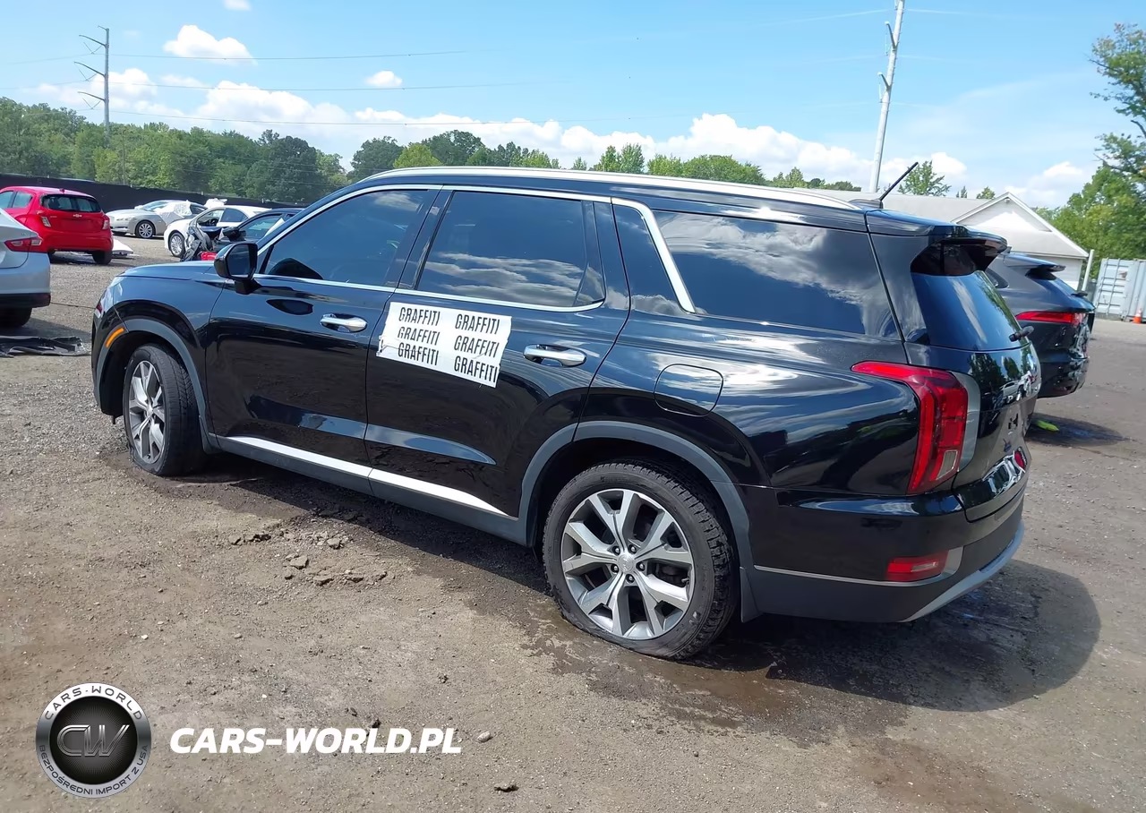 2020 Hyundai Palisade Sel VIN:KM8R4DHE1LU116965 - 3