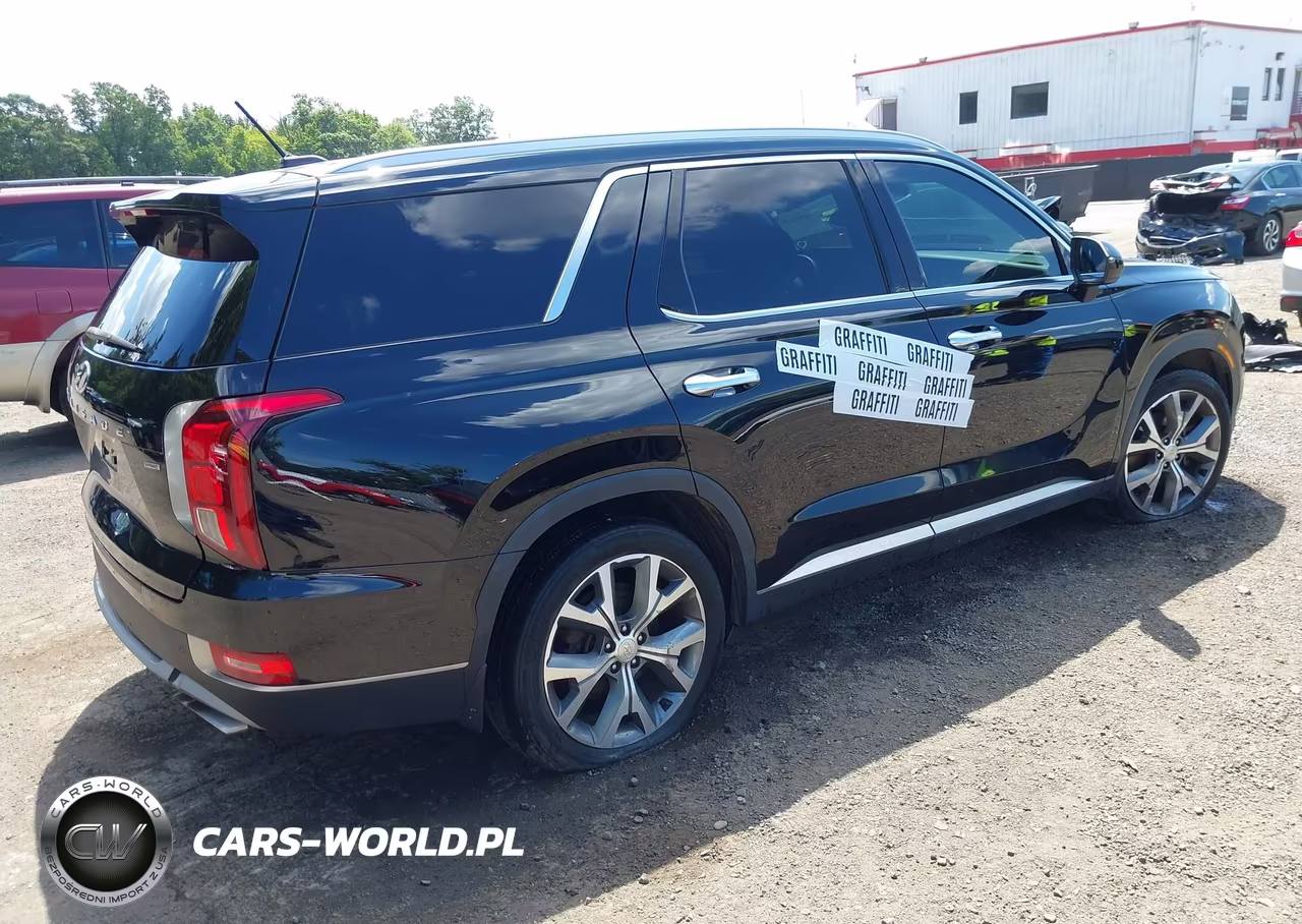 2020 Hyundai Palisade Sel VIN:KM8R4DHE1LU116965 - 4
