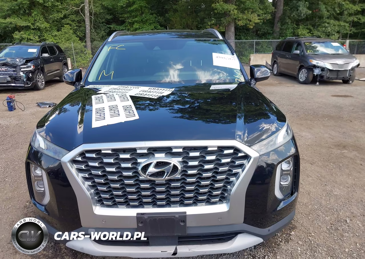 2020 Hyundai Palisade Sel VIN:KM8R4DHE1LU116965 - 6