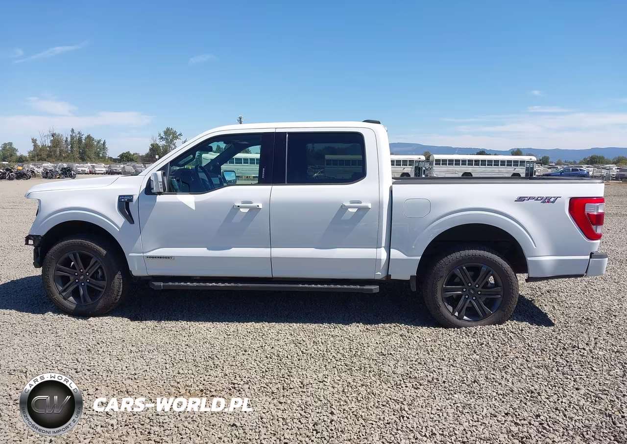 2021 Ford F-150 King Ranch-Lariat-Limited-Platinum-Xl-Xlt VIN:1FTFW1ED5MFD02784 - 15