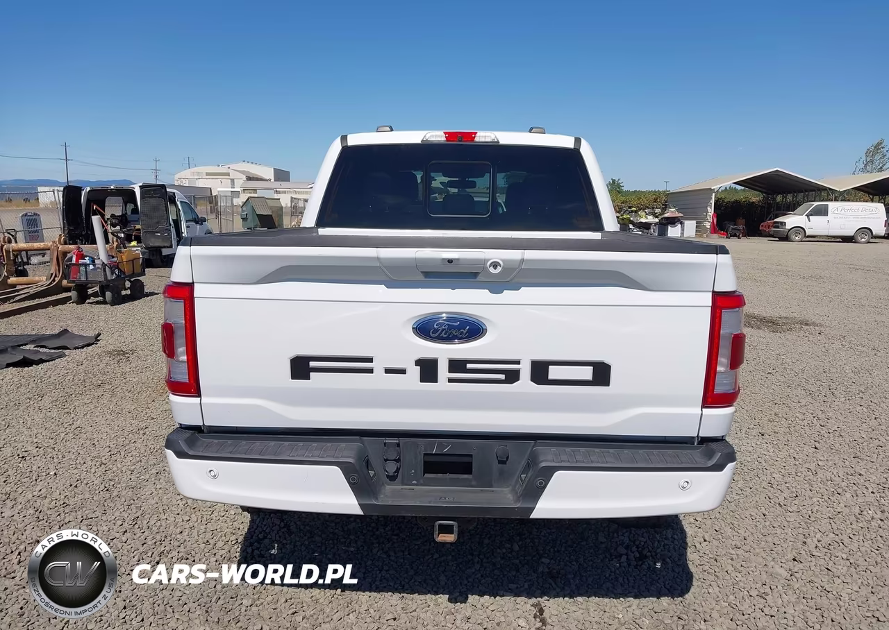 2021 Ford F-150 King Ranch-Lariat-Limited-Platinum-Xl-Xlt VIN:1FTFW1ED5MFD02784 - 17