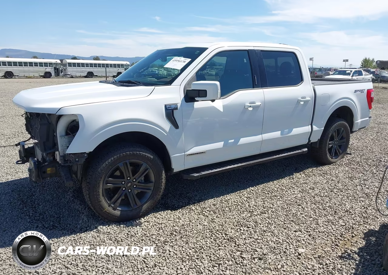 2021 Ford F-150 King Ranch-Lariat-Limited-Platinum-Xl-Xlt VIN:1FTFW1ED5MFD02784 - 2