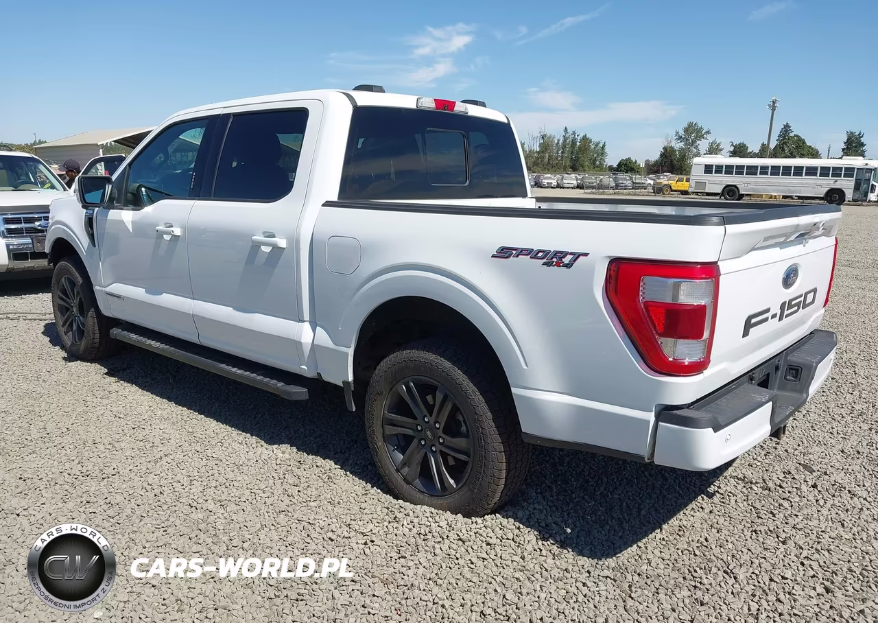 2021 Ford F-150 King Ranch-Lariat-Limited-Platinum-Xl-Xlt VIN:1FTFW1ED5MFD02784 - 3