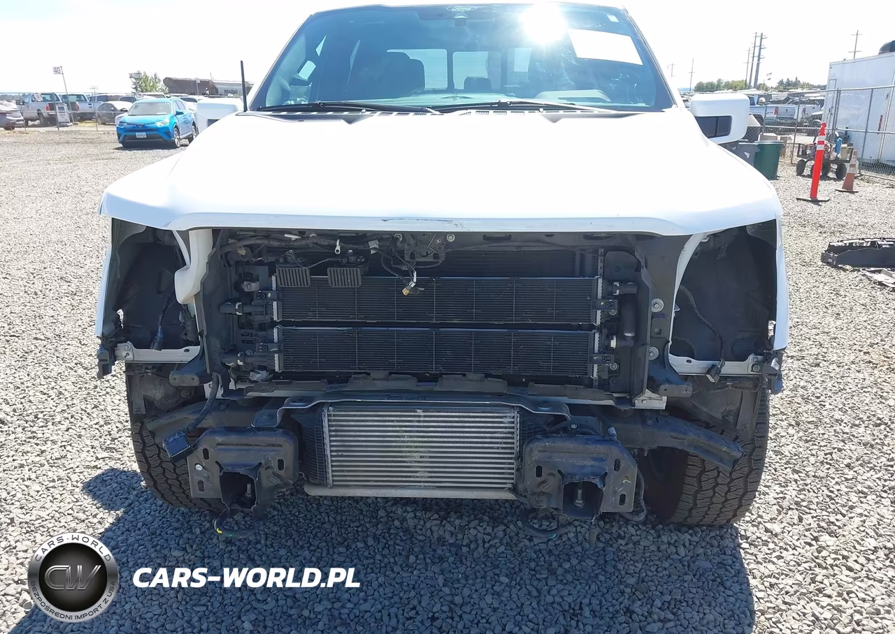 2021 Ford F-150 King Ranch-Lariat-Limited-Platinum-Xl-Xlt VIN:1FTFW1ED5MFD02784 - 6
