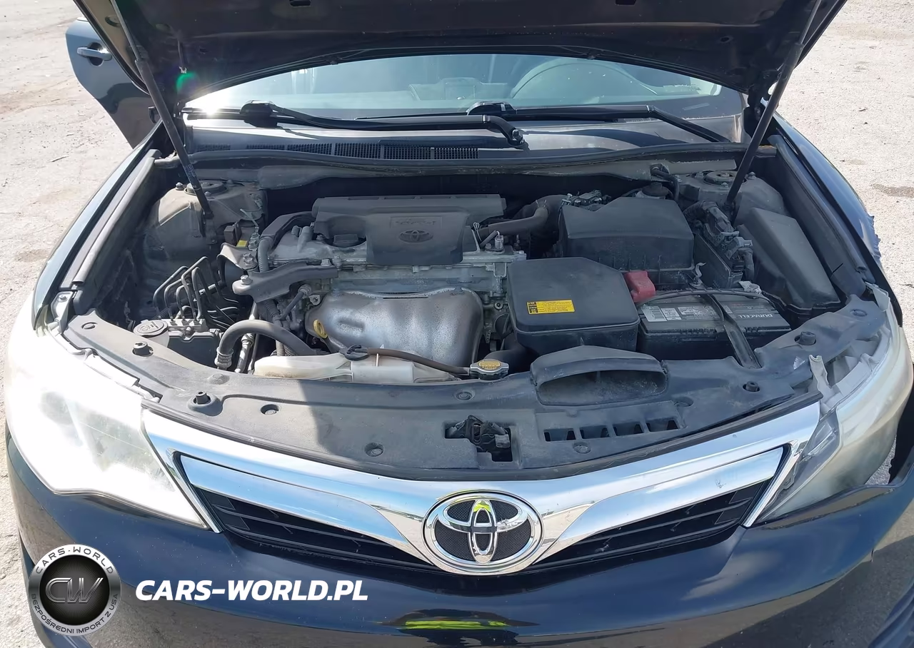 2013 Toyota Camry Le VIN:4T4BF1FK5DR299796 - 10