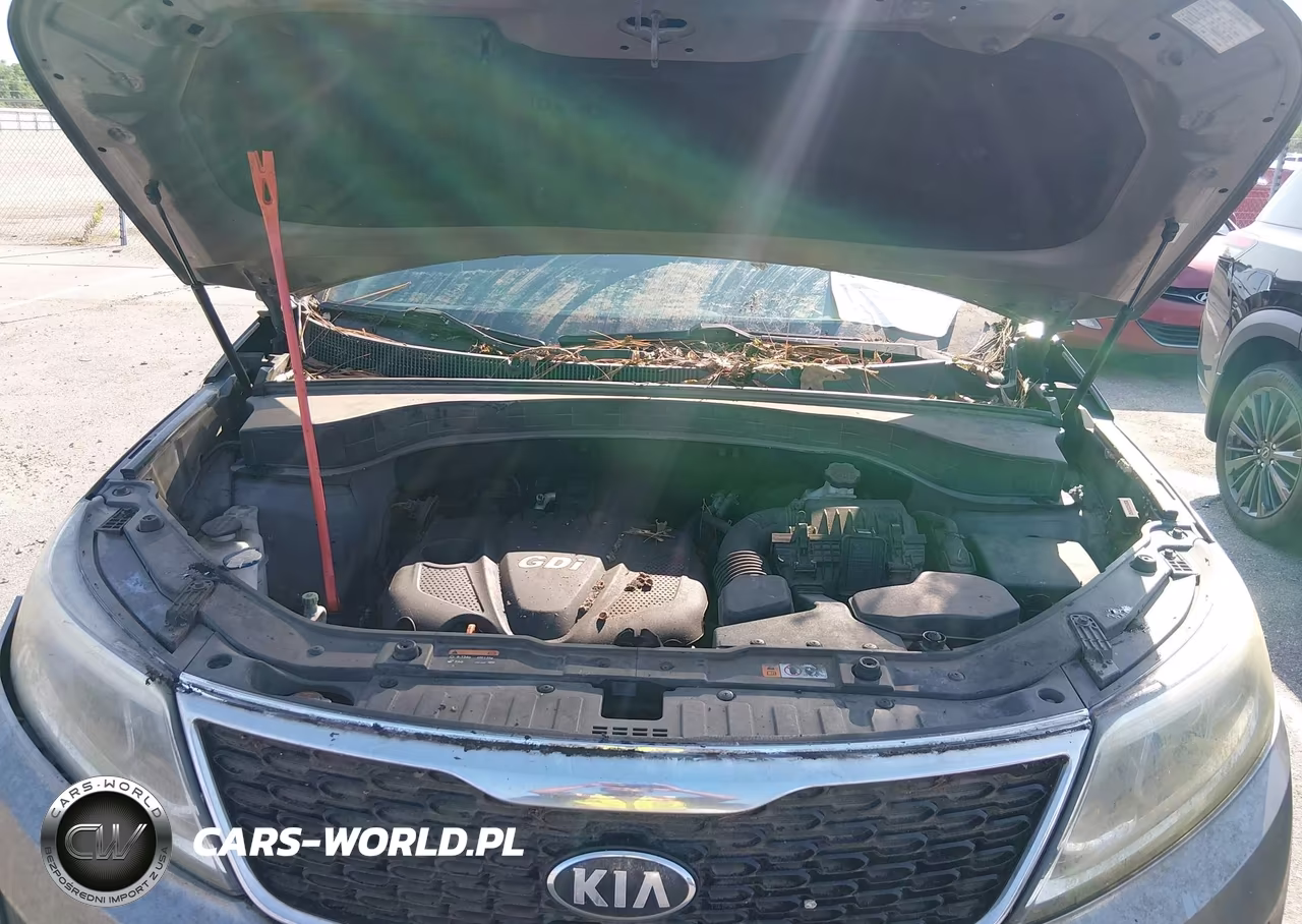 2014 Kia Sorento Lx VIN:5XYKT3A64EG494224 - 10