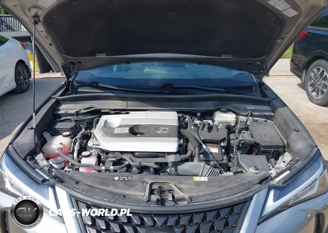 2019 Lexus Ux 250H VIN:JTHU9JBH3K2001729 - 10