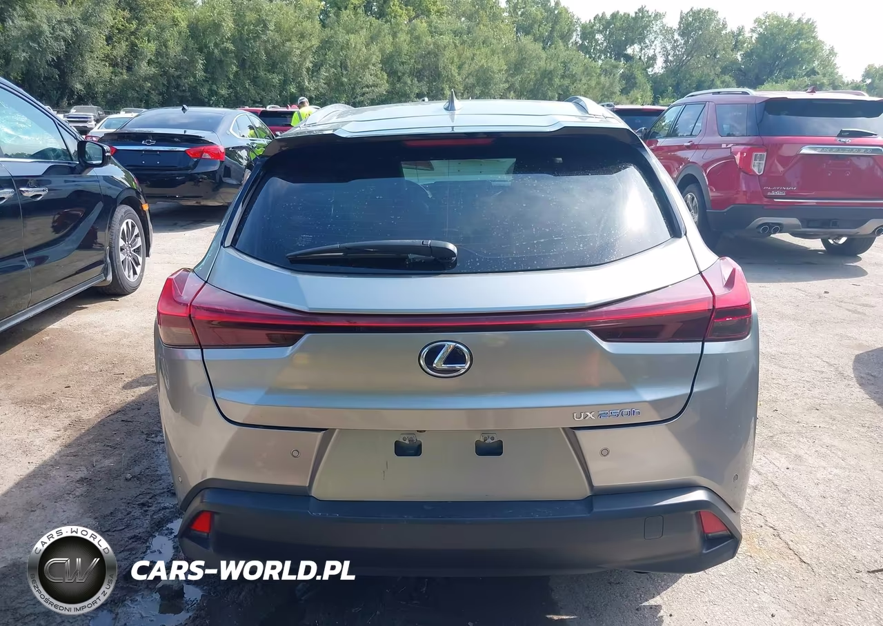 2019 Lexus Ux 250H VIN:JTHU9JBH3K2001729 - 16
