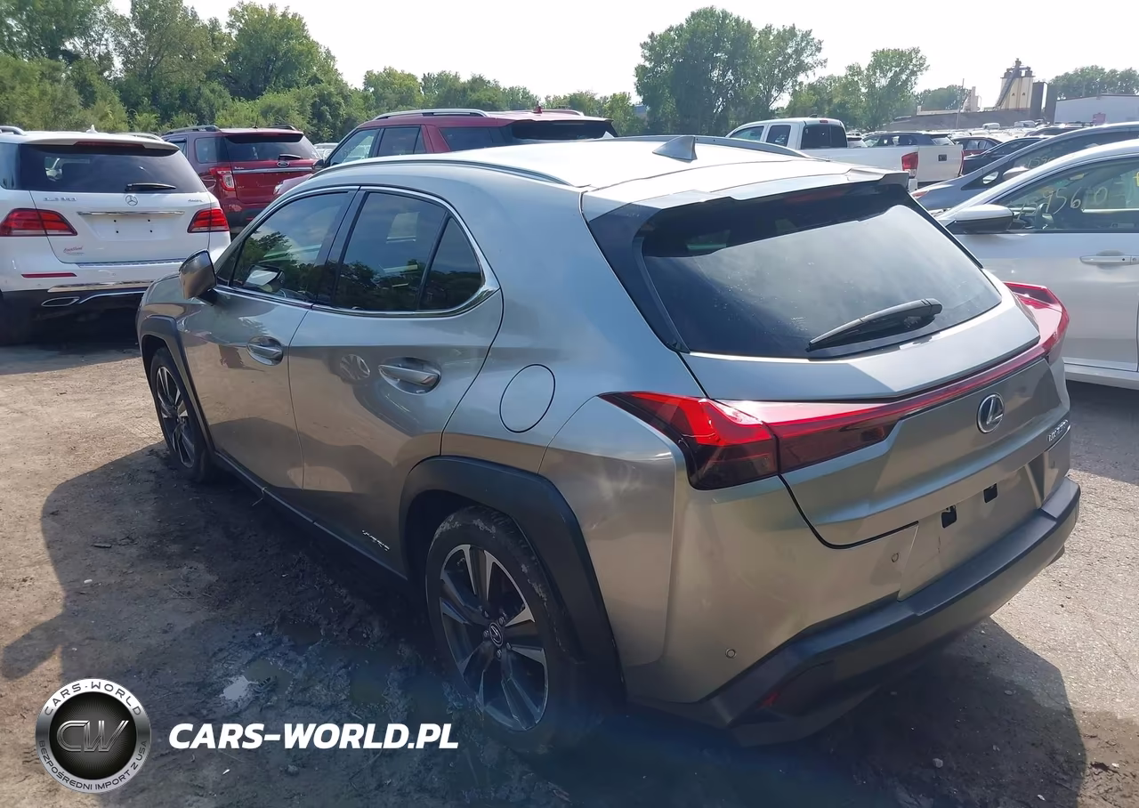 2019 Lexus Ux 250H VIN:JTHU9JBH3K2001729 - 3