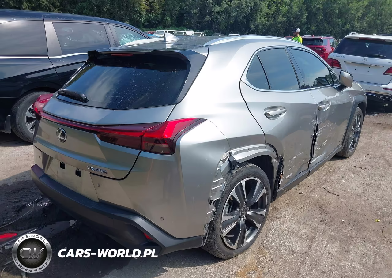 2019 Lexus Ux 250H VIN:JTHU9JBH3K2001729 - 4