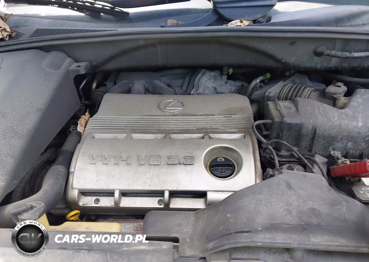 2005 Lexus Rx 330 VIN:2T2HA31U55C052705 - 10