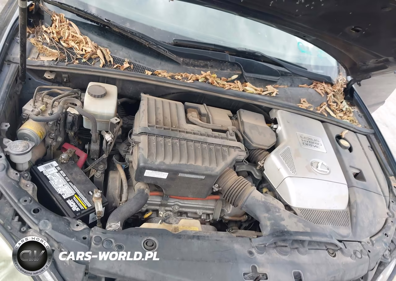 2007 Lexus Rx 400H VIN:JTJGW31U072002729 - 10