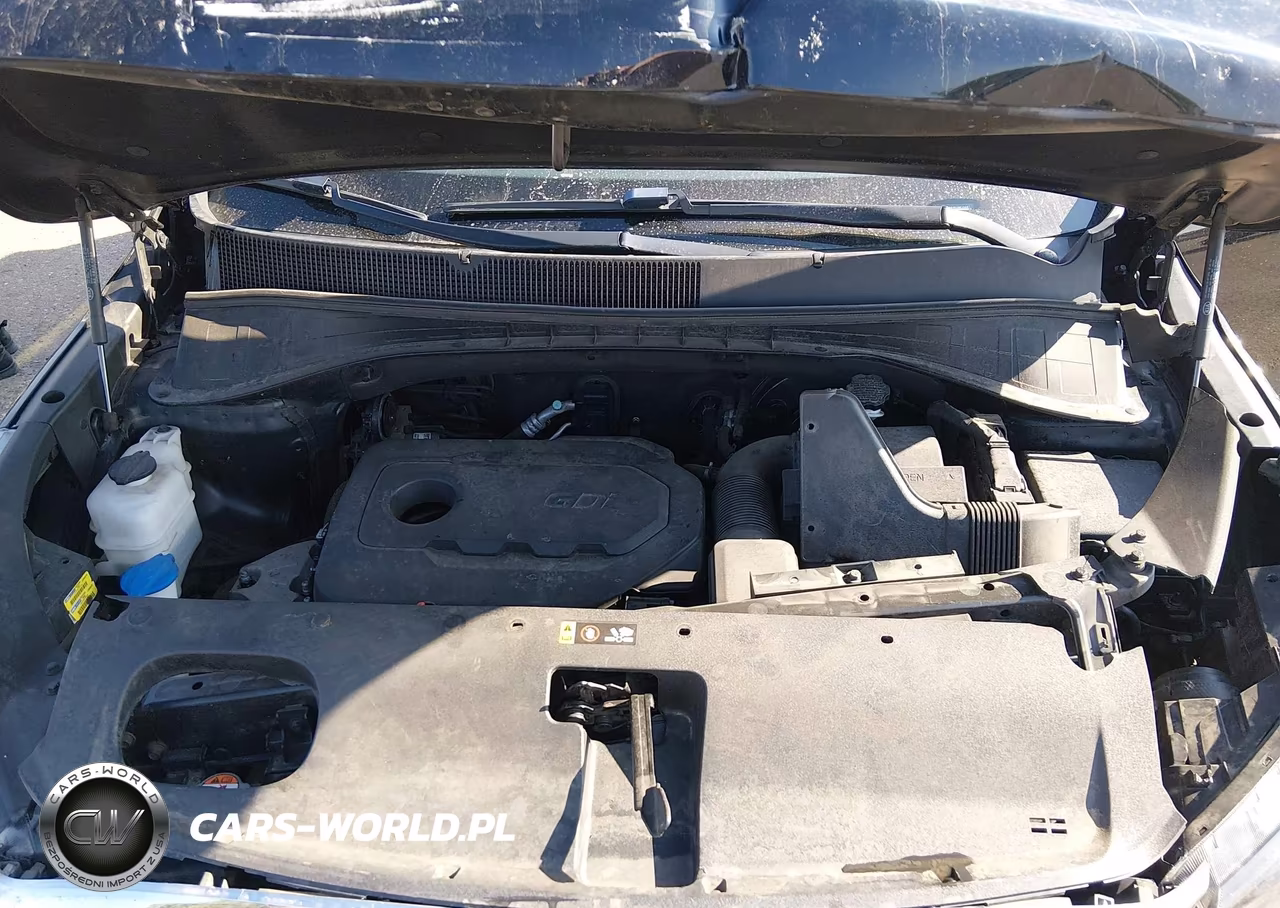 2018 Kia Sorento 2.4L Lx VIN:5XYPG4A36JG416897 - 10