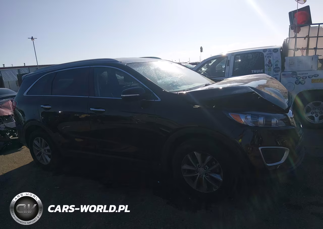 2018 Kia Sorento 2.4L Lx VIN:5XYPG4A36JG416897 - 13