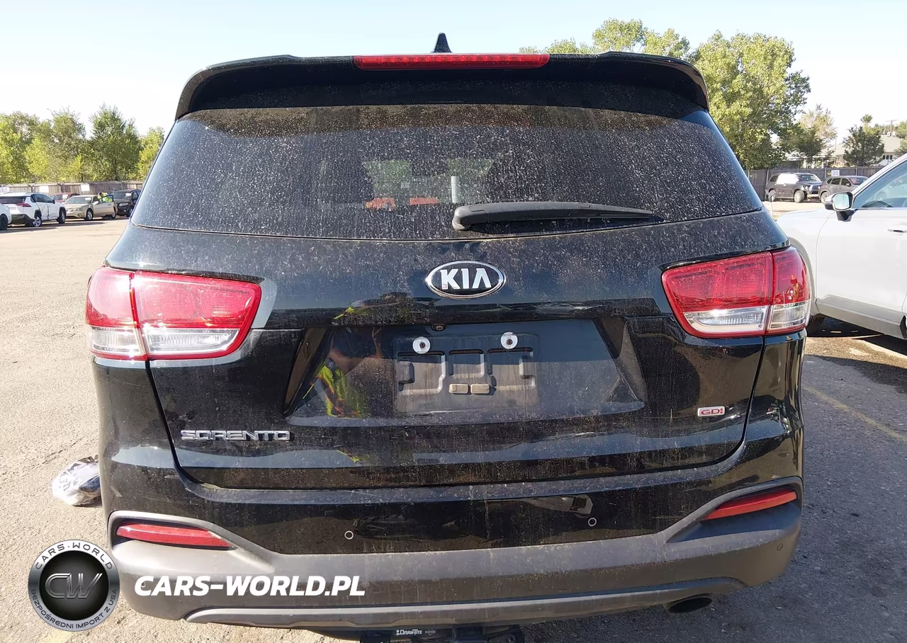 2018 Kia Sorento 2.4L Lx VIN:5XYPG4A36JG416897 - 16