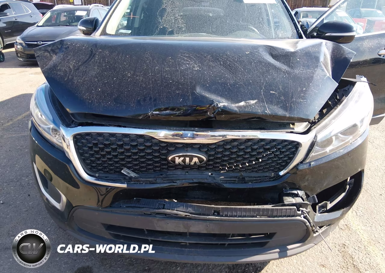 2018 Kia Sorento 2.4L Lx VIN:5XYPG4A36JG416897 - 6
