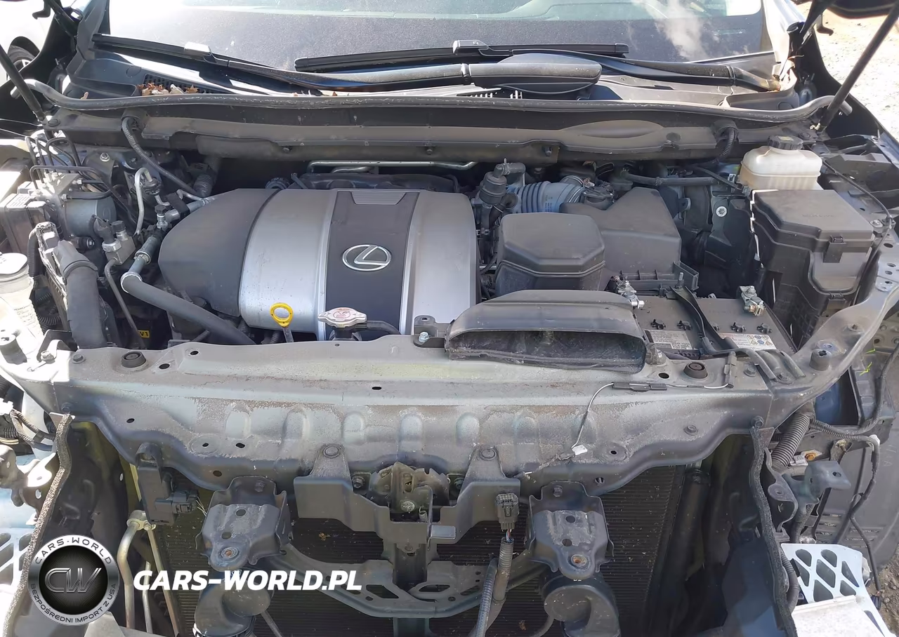 2020 Lexus Rx 350L VIN:JTJHZKFA3L2026845 - 10