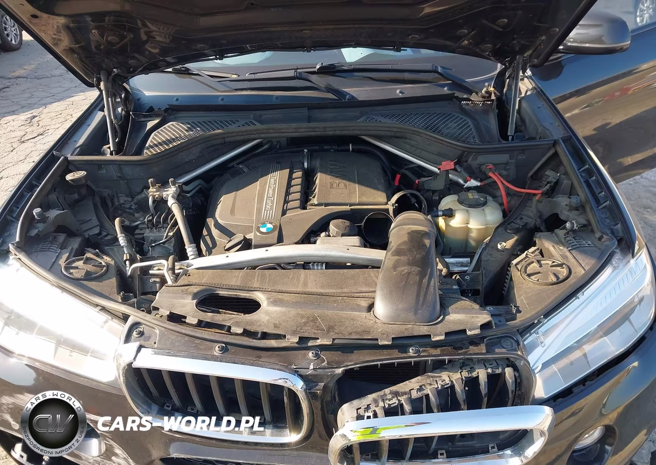 2016 BMW X6 xDrive35I VIN:5UXKU2C50G0N79628 - 10
