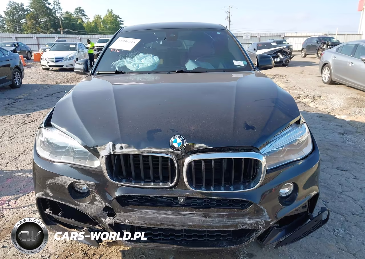 2016 BMW X6 xDrive35I VIN:5UXKU2C50G0N79628 - 12